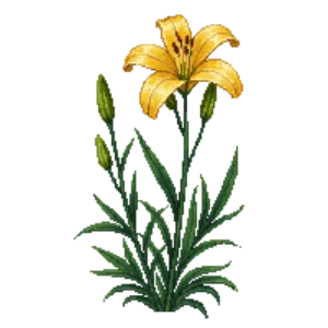 Illustration of Daylily 'Happy Returns'