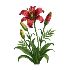 Illustration of Daylily 'Pardon Me'
