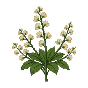 Illustration of Coral Bells 'Caramel'