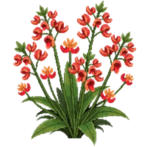 Illustration of Heuchera