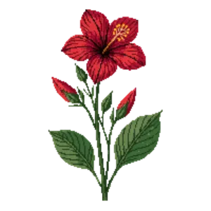 Illustration of Scarlet Rose Mallow