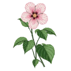 Illustration of Swamp Rosemallow