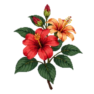 Illustration of Tropical Hibiscus