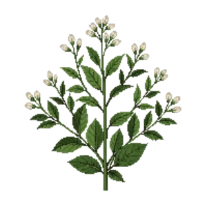 Illustration of Oceanspray