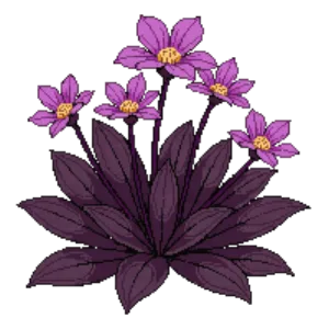 Illustration of Sedum 'Purple Emperor'