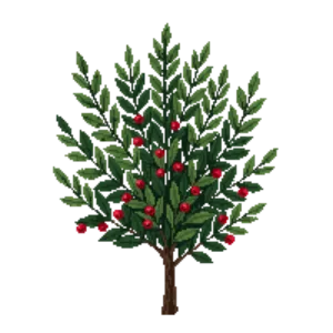 Illustration of Compact native holly