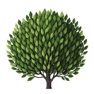 Illustration of Japanese holly 'Dark Green'