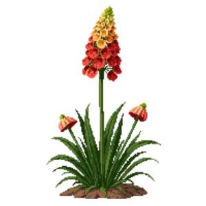 Illustration of Standing Cypress