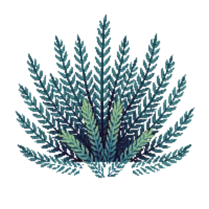 Illustration of Creeping Juniper 'Blue Rug'