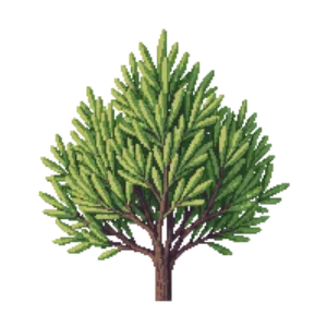 Illustration of Dwarf Japanese Garden Juniper