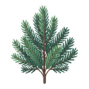 Illustration of Rocky Mountain Juniper 'Blue Arrow'