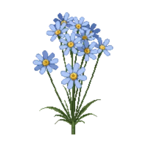 Illustration of Kalimeris 'Blue Star'