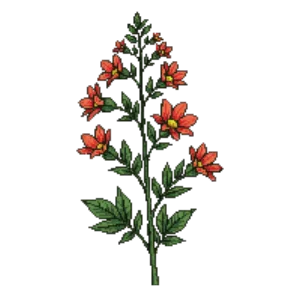 Illustration of Heart-leaved Penstemon