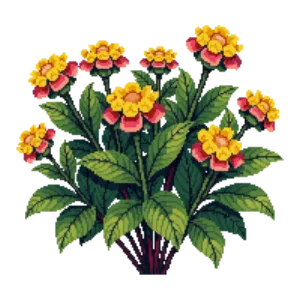 Illustration of Lantana 'Miss Huff'