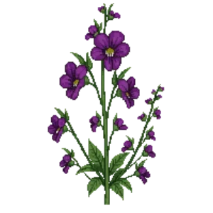 Illustration of Perennial Sweet Pea