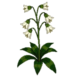 Illustration of Summer Snowflake
