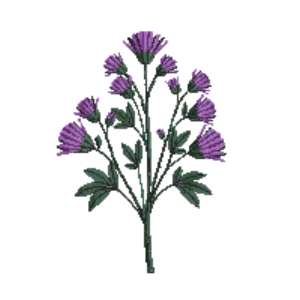 Illustration of Violet Silverleaf