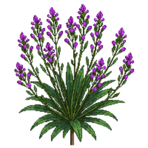 Illustration of Texas Sage