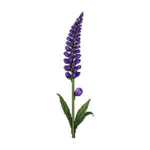 Illustration of Meadow Blazing Star