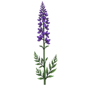 Illustration of Prairie Blazing Star