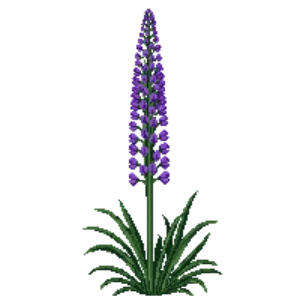 Illustration of Blazing Star