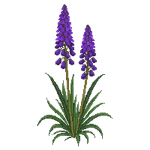 Illustration of Scaly Blazing Star