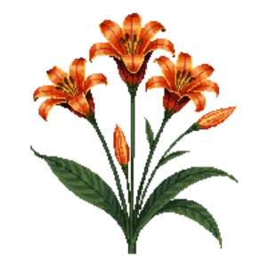 Illustration of Leopard Lily