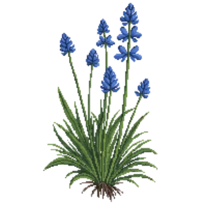Illustration of Perennial Blue Flax
