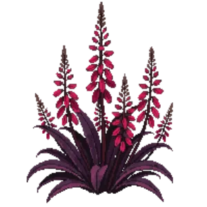 Illustration of Cardinal flower 'Queen Victoria'