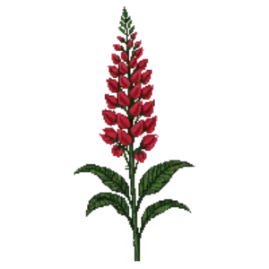 Illustration of Cardinal Flower