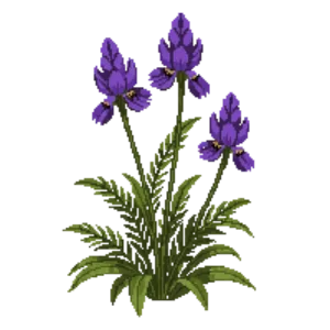Illustration of Lobelia