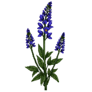 Illustration of Great Blue Lobelia