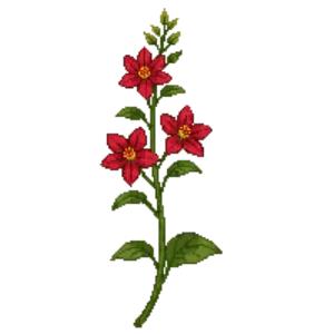 Illustration of Coral Honeysuckle