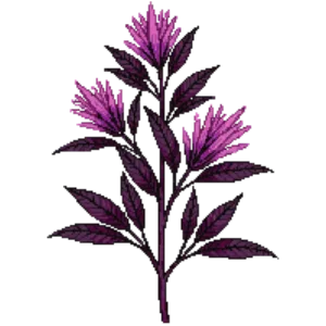 Illustration of Chinese witch hazel 'Fire Dance'