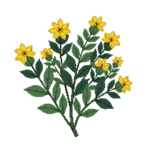 Illustration of Soft Caress Mahonia