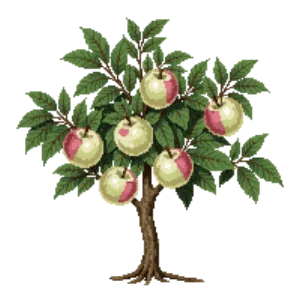 Illustration of Apple 'Bramley's Seedling'