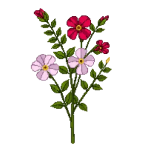Illustration of Mandevilla