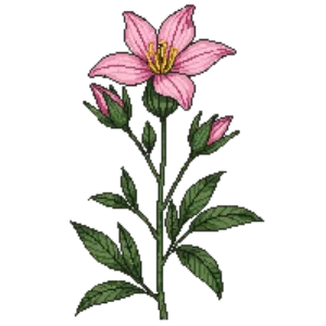 Illustration of Spotted Bee Balm