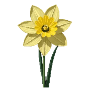 Illustration of Wild Daffodil