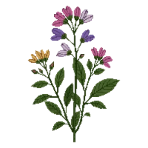 Illustration of Nemesia