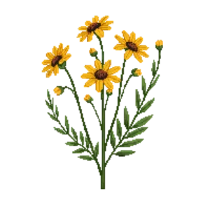 Illustration of Stiff Goldenrod