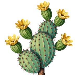 Illustration of Spineless Prickly Pear