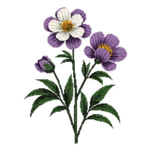 Illustration of Itoh Peony 'Cora Louise'