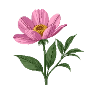 Illustration of Itoh Peony 'First Arrival'