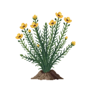 Illustration of Palo Verde (thornless)