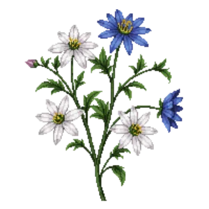 Illustration of Blue Passion Flower