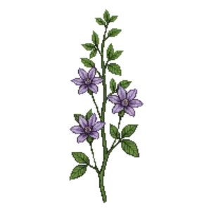 Illustration of Maypop