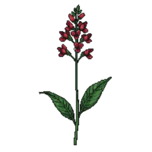 Illustration of Scarlet Beardtongue