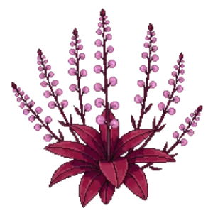 Illustration of Foxglove Beardtongue 'Husker Red'