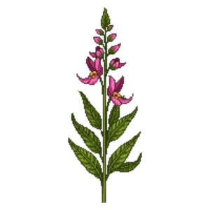 Illustration of Palmer's Penstemon